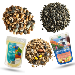 All Bird Feed