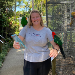 Our Bird Zoo