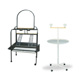 Parrot Stands