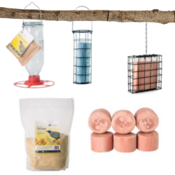 Wild Bird Feeders