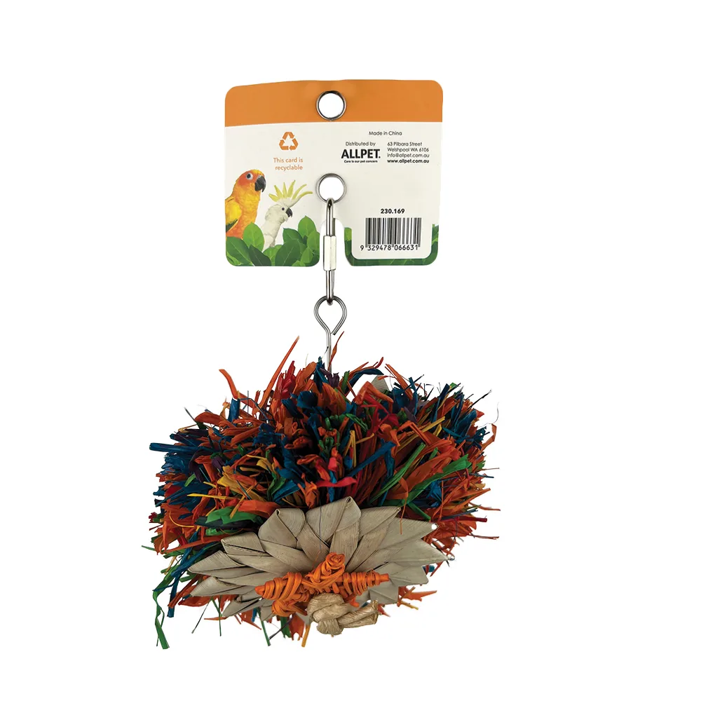 Bird Toy Rainbow Raffia Large