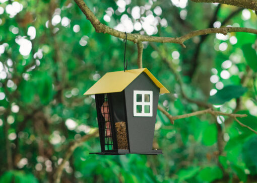 Snack Shack Wild Bird Feeder - Image 2