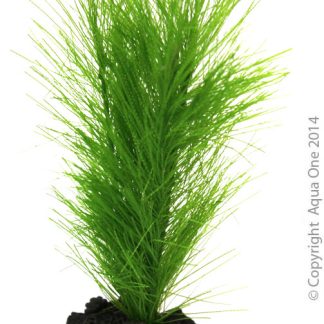 Aqua One Ornament - Betta Green Fern On Rock 10cm