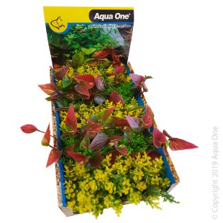 Aqua One Ecoscape Foreground Catspaw Yl/Lilly R Mix