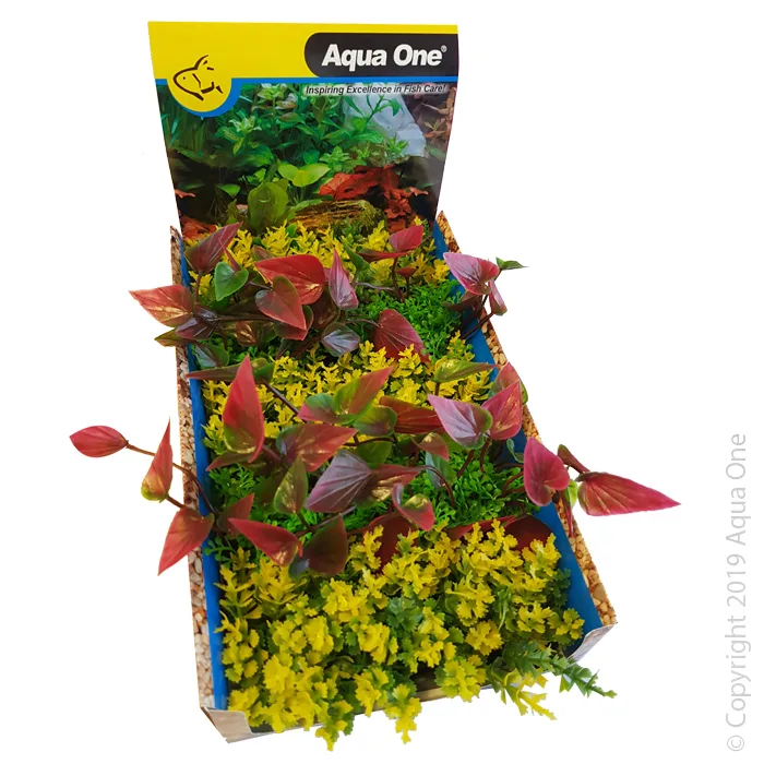 Aqua One Ecoscape Foreground Catspaw Yl/Lilly R Mix
