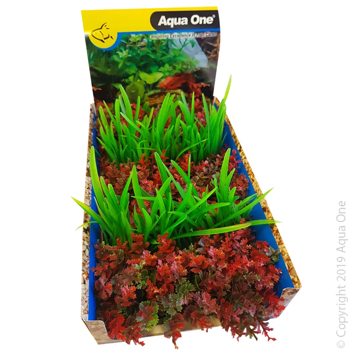 Ecoscape Foreground Catspaw R/lilaeopsis