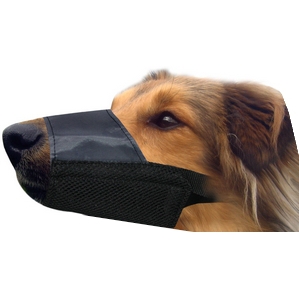 Pet One  Nylon Dog Muzzle